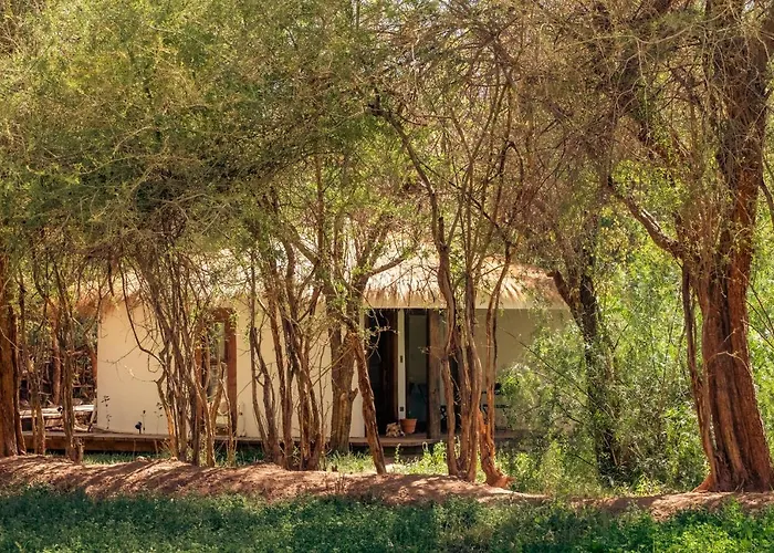 Lodge Atacama Horse