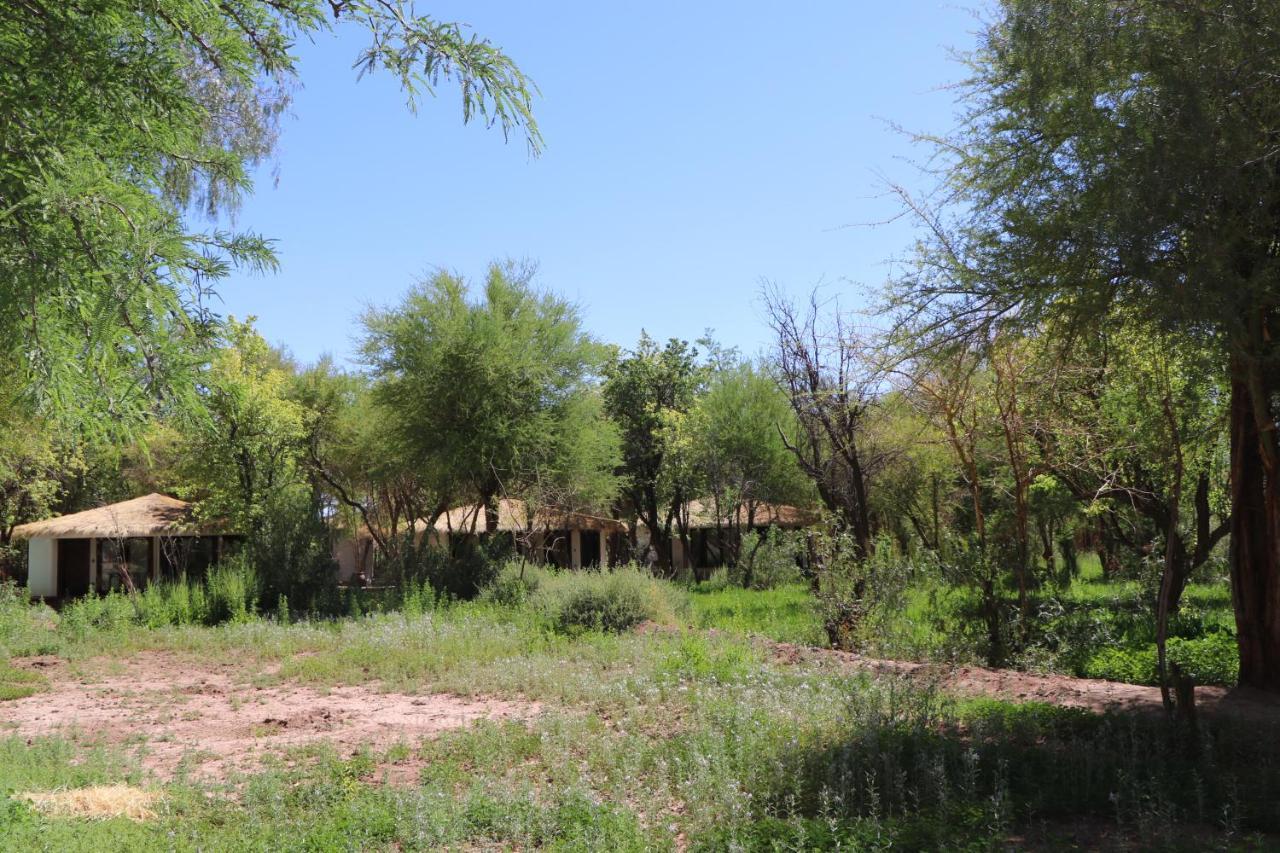 Atacama Horse Lodge San Pedro de Atacama