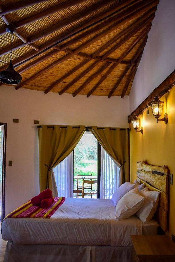 Lodge Atacama Horse *