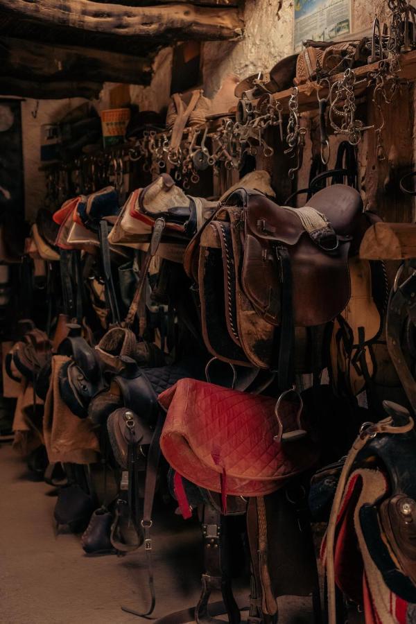 Atacama Horse Lodge