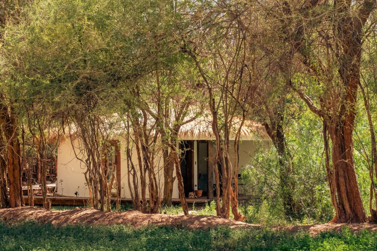Lodge Atacama Horse *